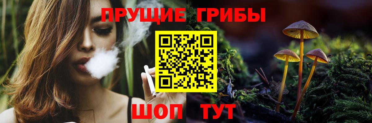 Бахчисарай  Галлюциногенные грибы Psilocybine cubensis  Вход с VPN 